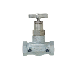 Globe and Angle Valves